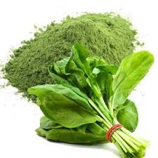 Spray Dried Spinach Powder