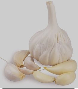 natural Fresh Garlic