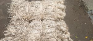 Jute Raw Material