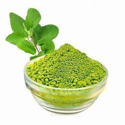 Tulsi Leaf Powder