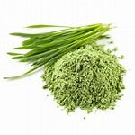 Wheatgrass Powder