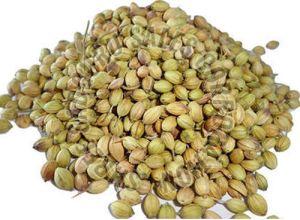 dried coriander seeds