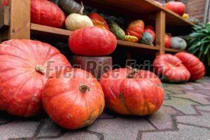 Fresh Red Pumpkin