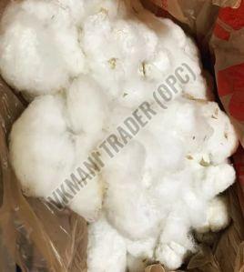 soft raw cotton