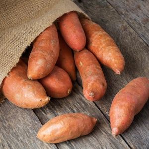 Fresh Sweet Potato