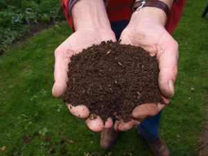 Organic vermicompost