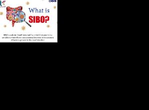 What is SIBO? Best Gastro Doctor in Bhubaneswar Ketaki gastro- liver clinic