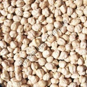 White Chana