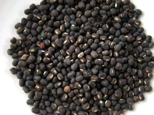 Whole Black Urad Dal