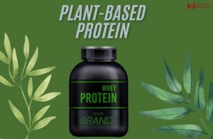 Plant Protein Powder