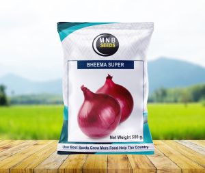 Bheema super onion seed