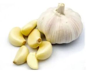 Fresh Garlic