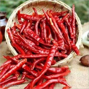 Teja Dry Red Chilli