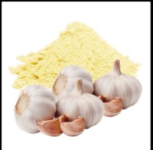 Garlic Extract