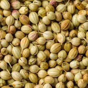 Coriander Seeds