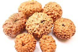 Rudraksha Beads