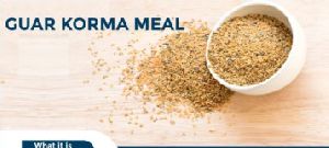 Guar Meal Korma