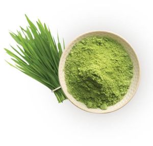 Wheatgrass Powder