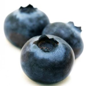 wild blueberries