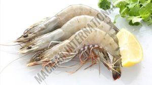 Fresh Prawns