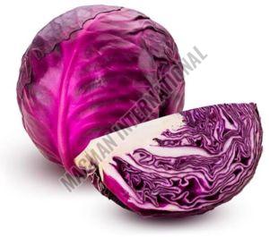 Purple Cabbage