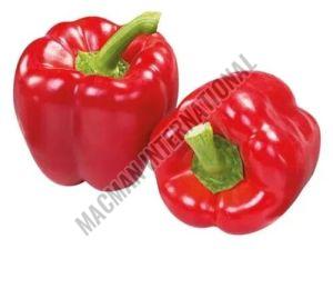 Red Bell Pepper