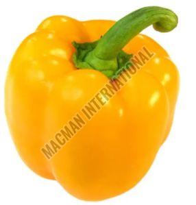 Yellow Bell Pepper