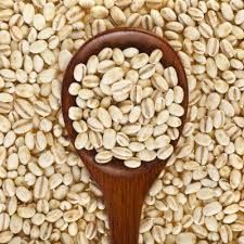 Barley Seeds