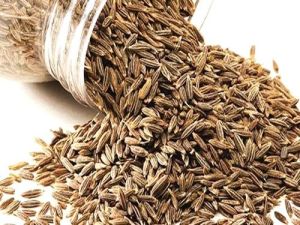 Cumin Seeds