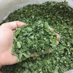 Moringa Dried Leaves