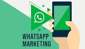 whatsapp marketing