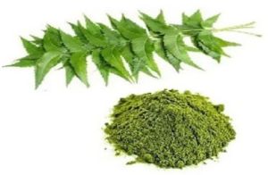 Neem Leaf Powder