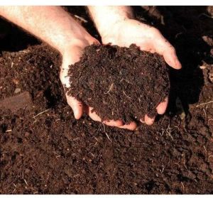 Organic Manure