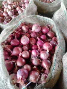 Red Onion