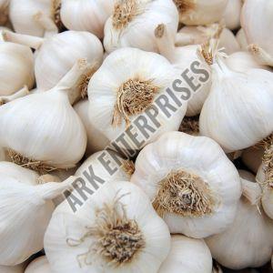 Fresh Garlic