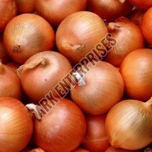 Fresh Pink Onion