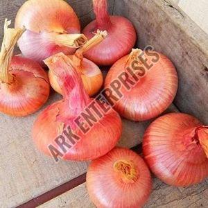 Raw Pink Onion