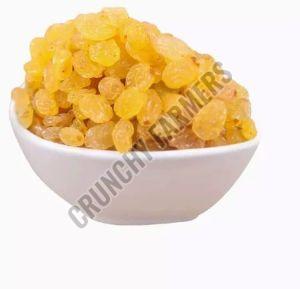 Golden Raisins