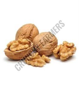 Shelled Walnuts