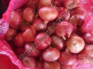 Fresh Pink Onion