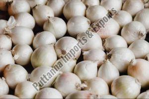 Fresh White Onion