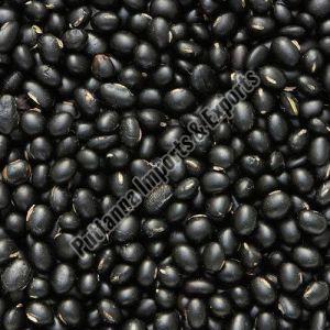 Polished Urad Dal