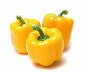 Fresh Yellow Capsicum