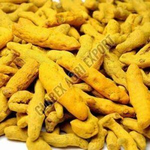 Nizamabad Turmeric Finger