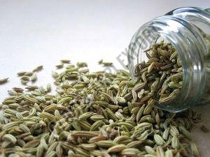 Premium Fennel Seeds