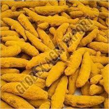 Rajapuri Turmeric Finger