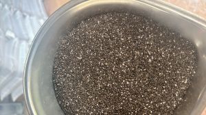 Chia Seeds sortex