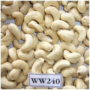 WW240 Plain Cashew Nuts