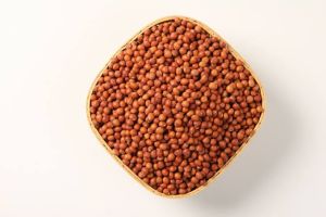 Red Pigeon Pea Seed