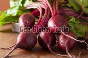 Fresh Beetroot